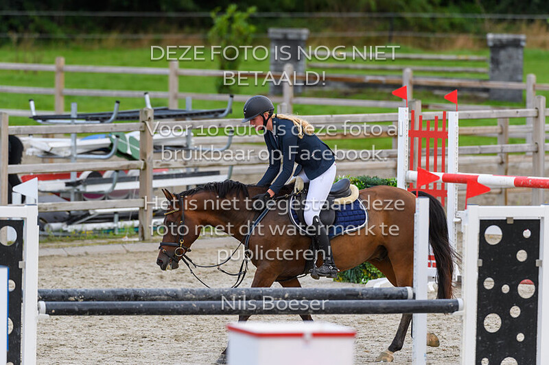 4 Ponys Klasse 130cm