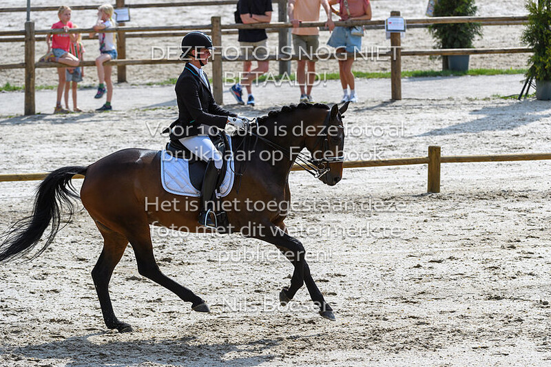 3 Dressuur Klasse ZZ-L