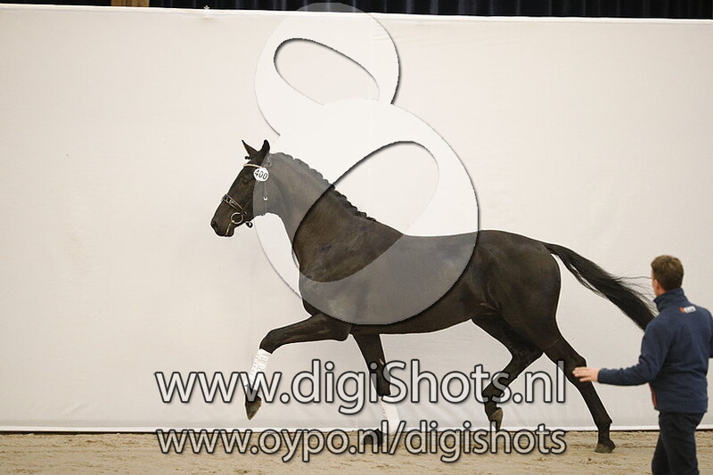 Mr Jones v. Franklin