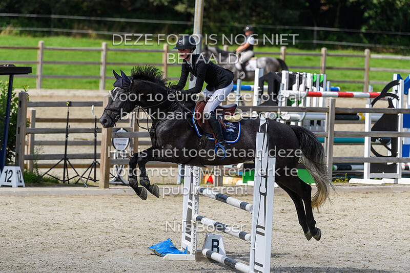 6 Paarden Klasse 100cm