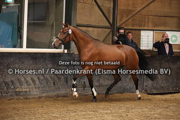 57 Merette v High Five US