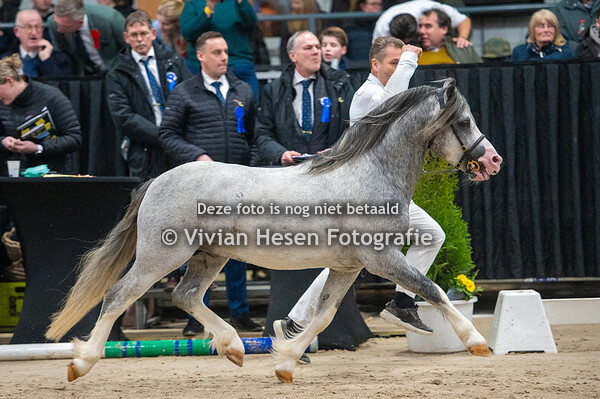 2e Bezichtiging Sectie A