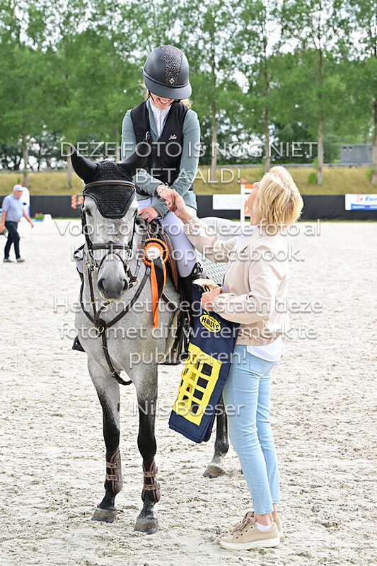 27 Pony's 80cm (Cat. D-E)