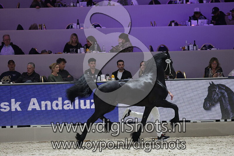 Ynze fan Klein Weulink