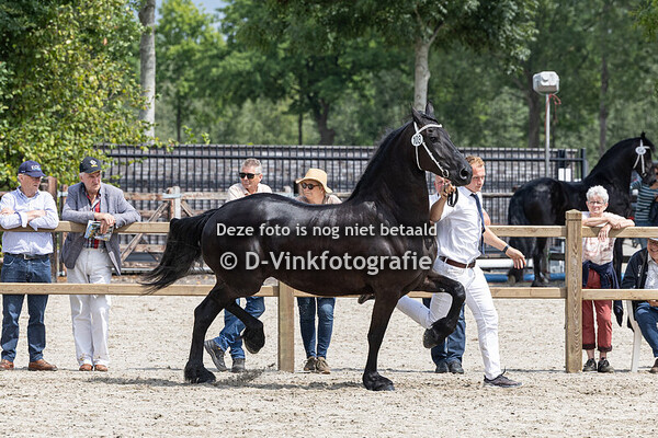 103. Wobkje fan Over den Graaf