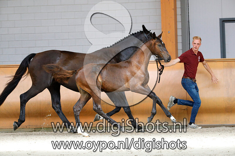 Nice v. Cornet Obolensky