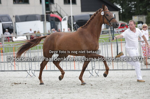 120 Oomalia (Ebony x Faymalia v. Emilion)