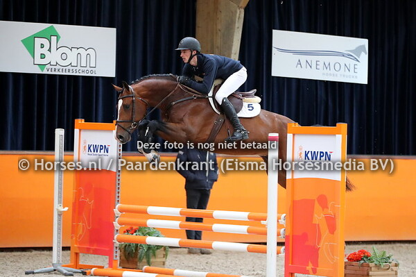 11 mei 2021 Actiefoto's springhengsten KWPN voorjaar
