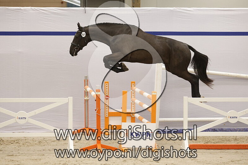 Sydney E v. Diamant de Semilly