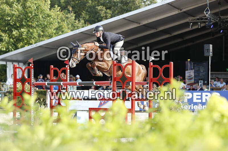 dennis van den brink