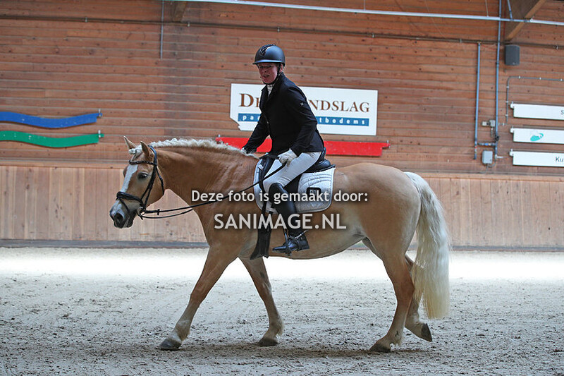 PV Midland DAH Haflingers 21-04-2024 Dressuur