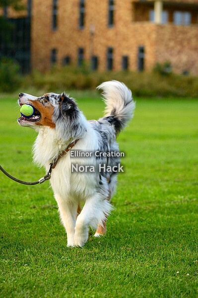 Vrijdag 11 september 2020