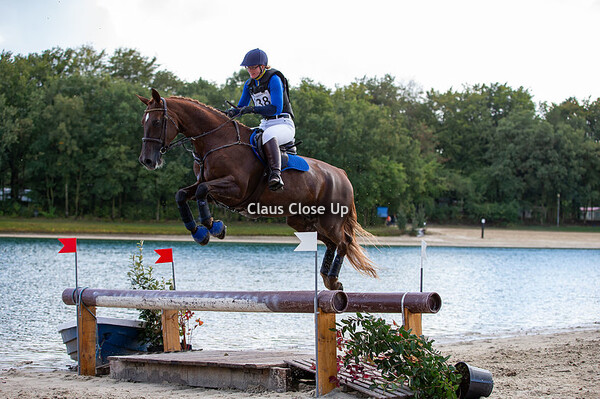 M Ponies & L Paarden