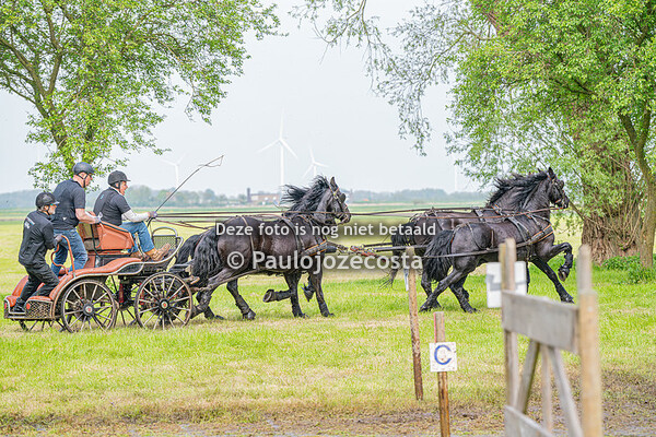 Tweespan/Vierspan Marathon Mennen Bucephalus 09-05-2024