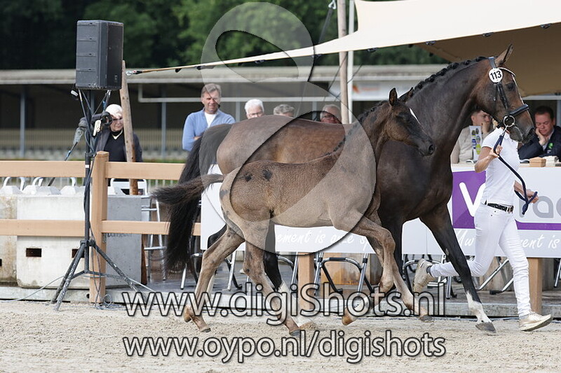 Viggowaard v. Newport