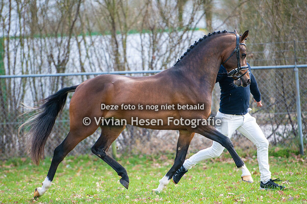 Her- en Nakeuring NWPCS