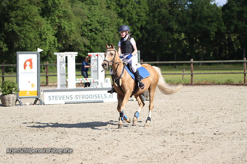 Hippisch Festijn PSV Polarfurst Pony's 60cm
