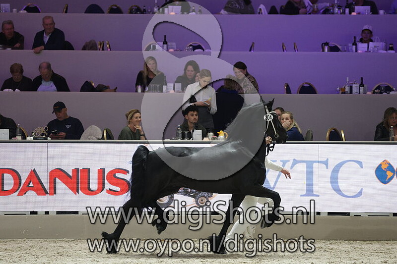 Yaya van het Binnenveld