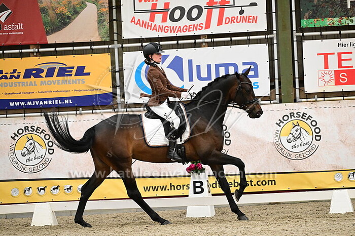 Jeanine Krol - Renvillia