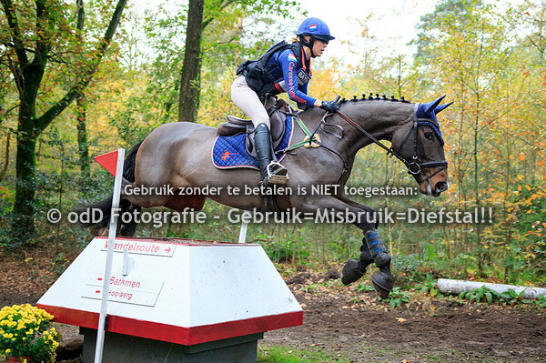 SGW Bathmen 03-11-19