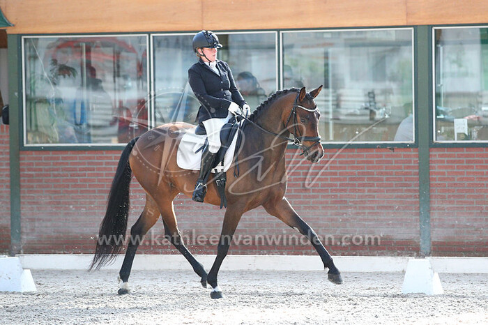 Monique Orlemans - Cabri