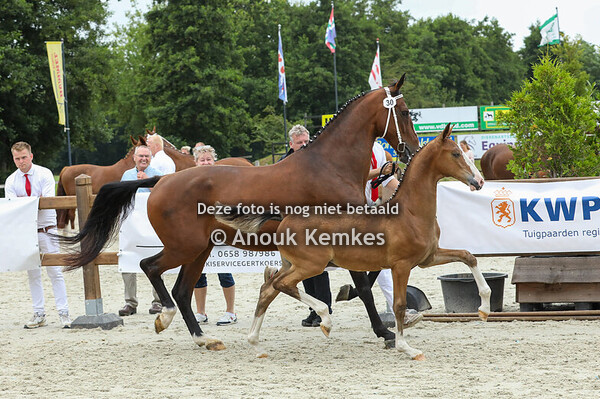 30 - Vamos ( Olympus HS x Atleet ) 