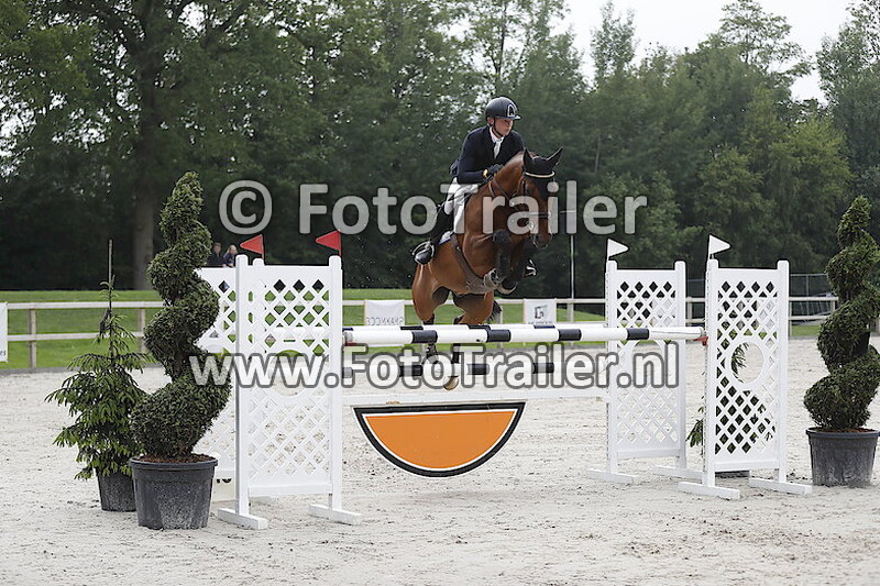 Dennis van den Brink