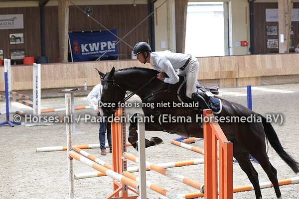 Lady Lottie B (For Pleasure x Gracelottie B v. Nabab de reve) met Ton Schellekens