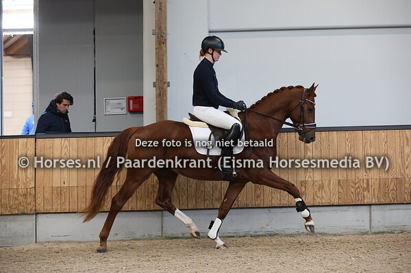 30-11-24 KWPN VO Najaar springen en Gelders