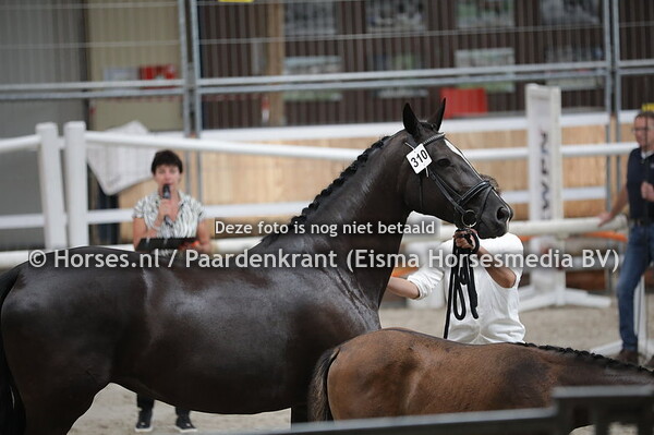 310 Diamond's Girl VM (De Niro x Luett Guldi v. Coriander)