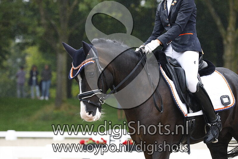 Ring 6 Klasse Z1 cat DE