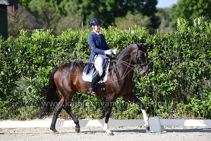 Irma van der Wal - Hummer