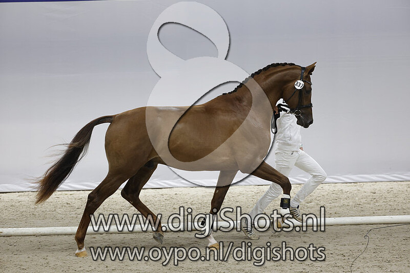 Obsession A v. Dream Boy