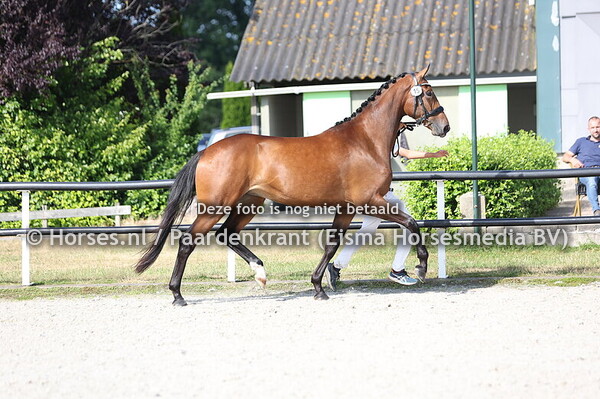 15 Split Second (Mc Laren x Amaretto v. Havidoff)