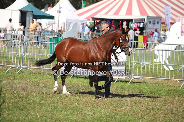 4.Merries grote maat 4j