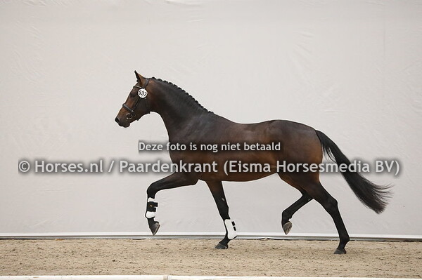 537 Painted Black x Chippendale