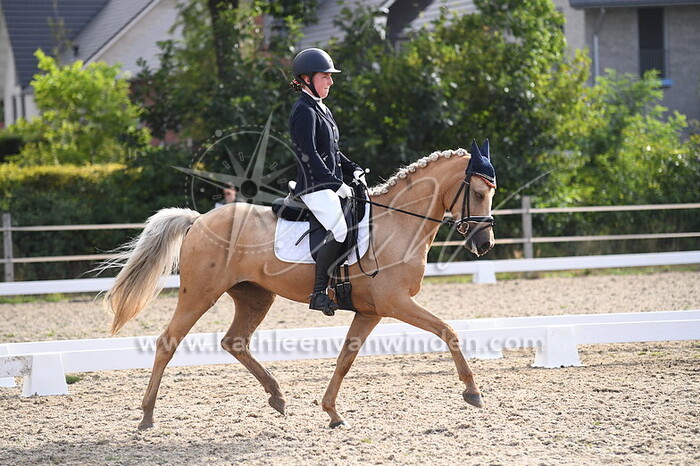 Klasse L1 pony's cat. CDE