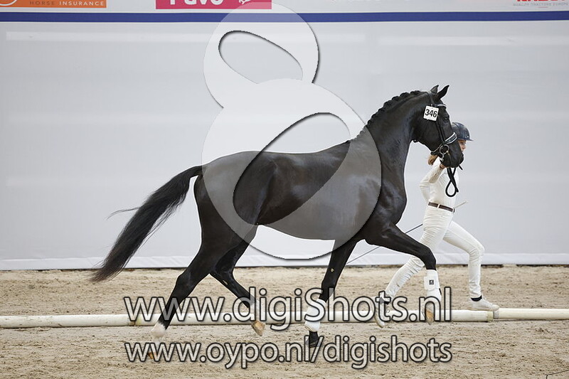 Princero v. For Ferrero - 346