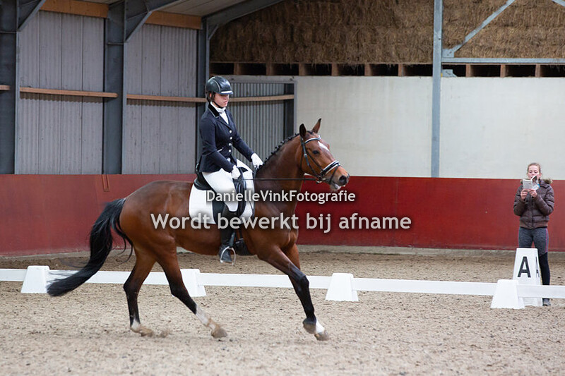 Alexine Albers - Winona