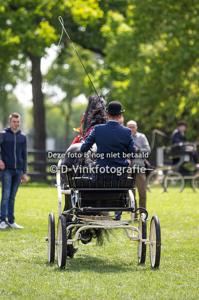 KFPS stamboekhengsten