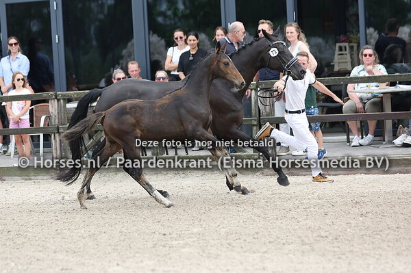 73 Vegas (Extreme US x Kristy v. Fairytale) (1)