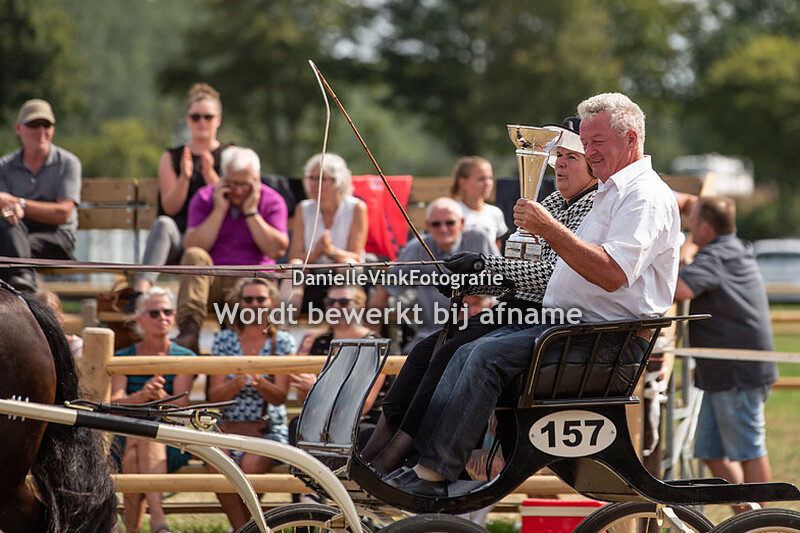 Tuigpaarden damesklasse