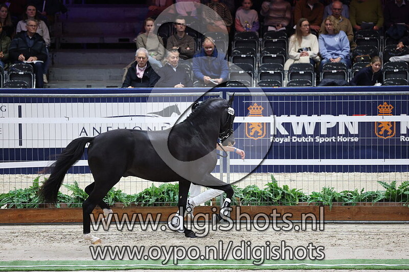 So Total v. Total Hope