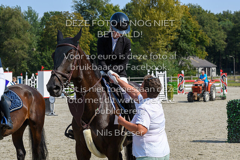 3 Paarden Klasse 110cm