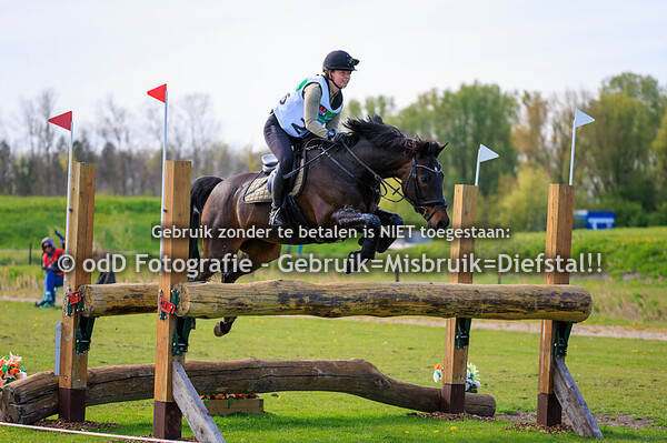 NHHT CCI3-S 19-04-25