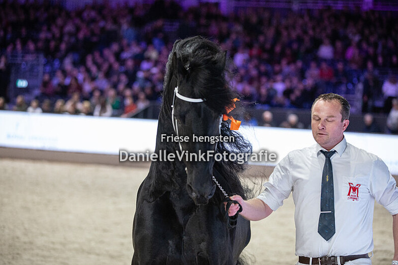 Hengstenkeuring 2025 Tymen 503