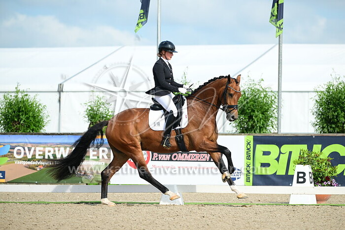 Sanne Tazelaar - Risen TS