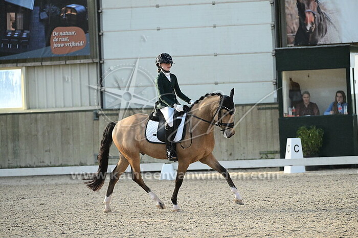 Harley Dikkerboom - Don Caramelli