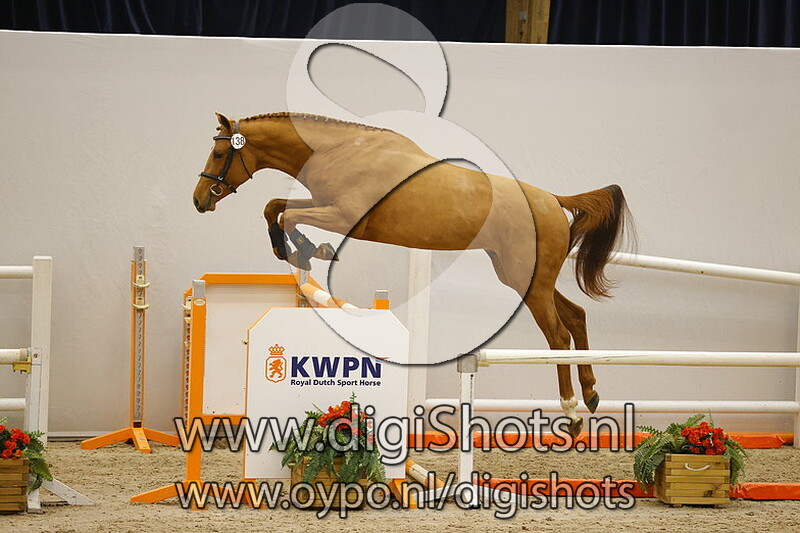 Nova Fan E Five v. Inaico VDL