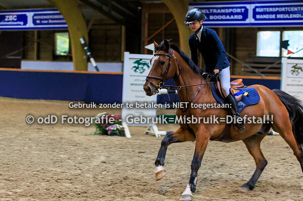 Geldrop Hippique Pony's CDE100 13-10-24